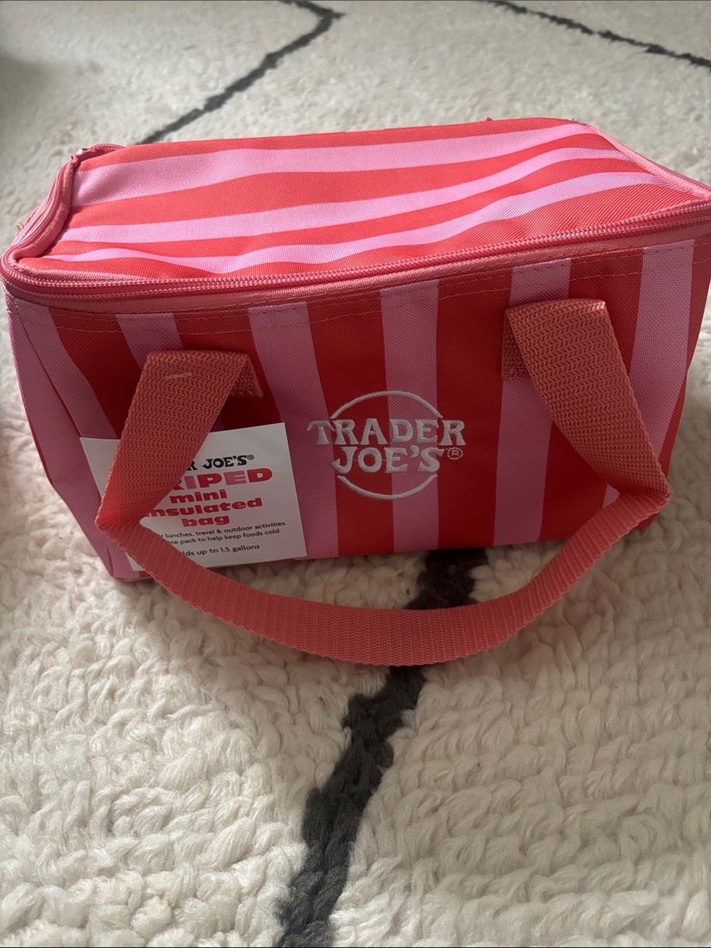 Trader Joe’s stripe mini insulated cooler bag